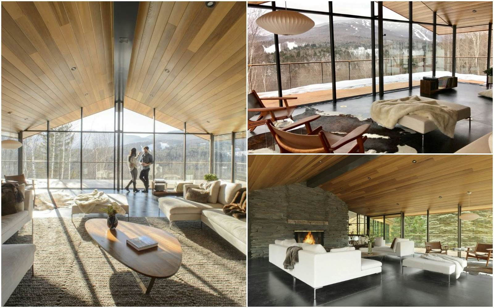 6 glass homes to rent with breathtaking views Lonely
